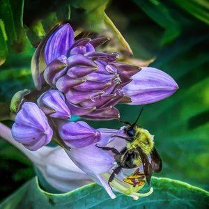 Meet your Posher, Kathy